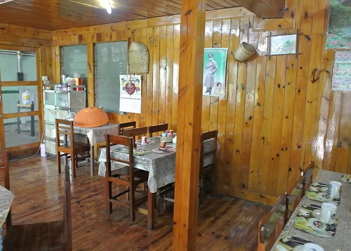 Golden Lily Guest House
