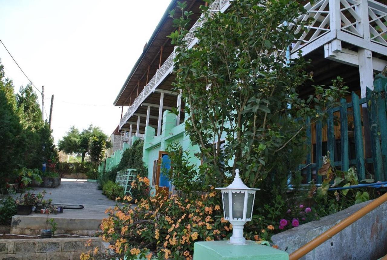 Guest house Golden Lily Kalaw